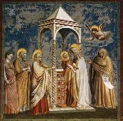 GIOTTO di Bondone Presentation of Christ at the Temple oil on canvas